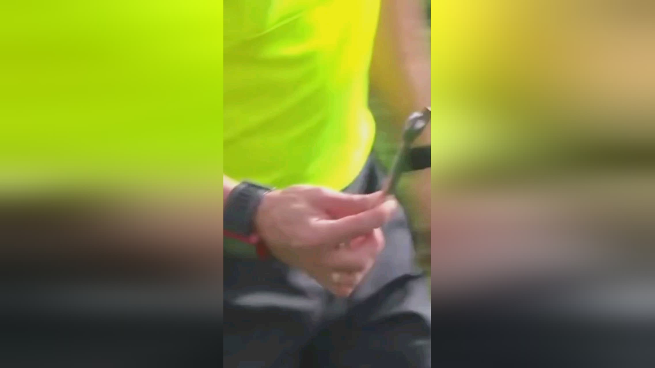 碰撞